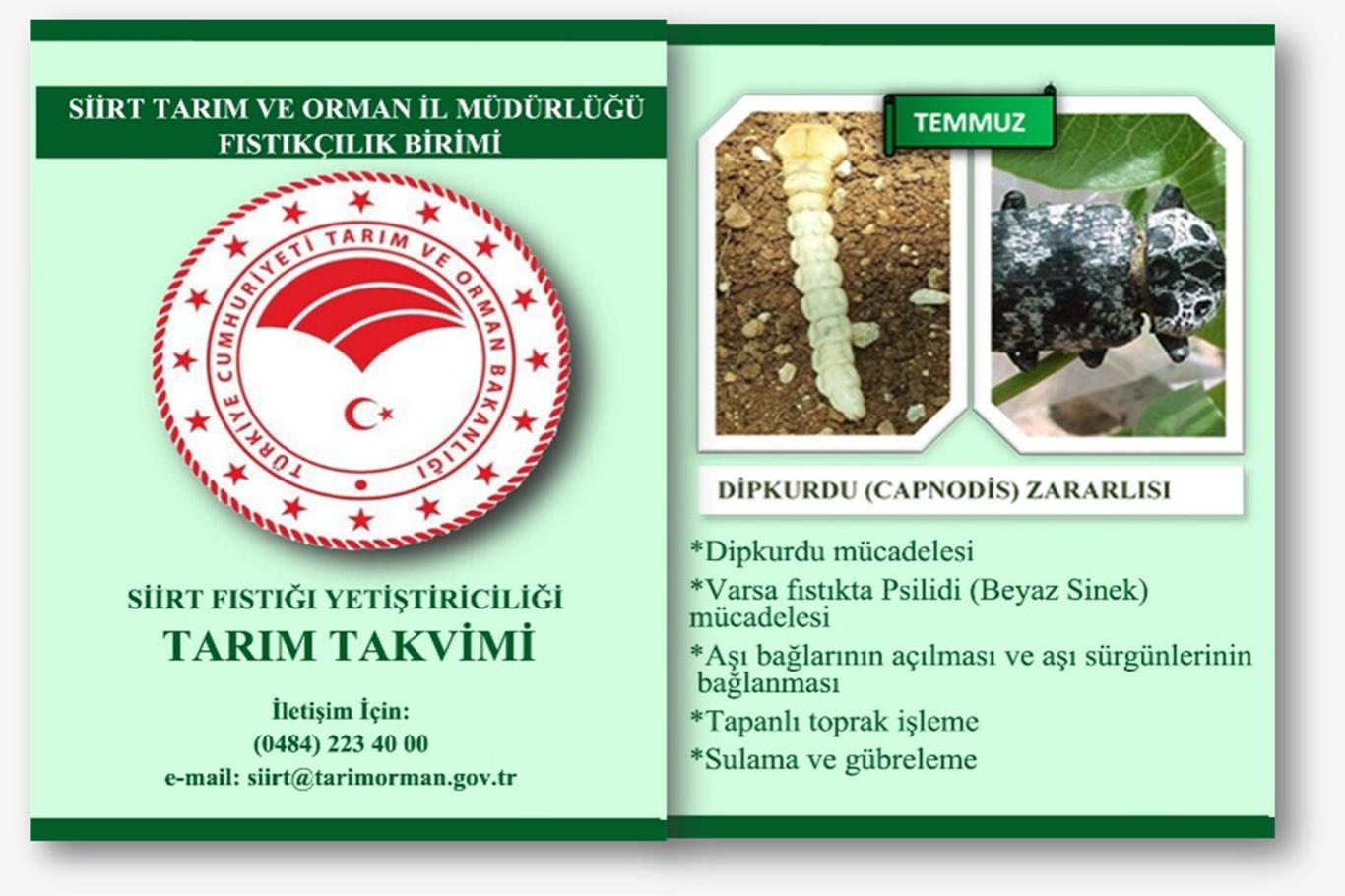 Fıstıkçılık Birimi'nden önemli duyuru Fıstıkçılık Birimi'nden önemli duyuru